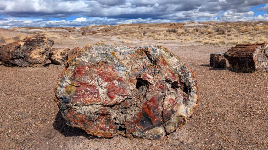 Petrified Forest National Park
