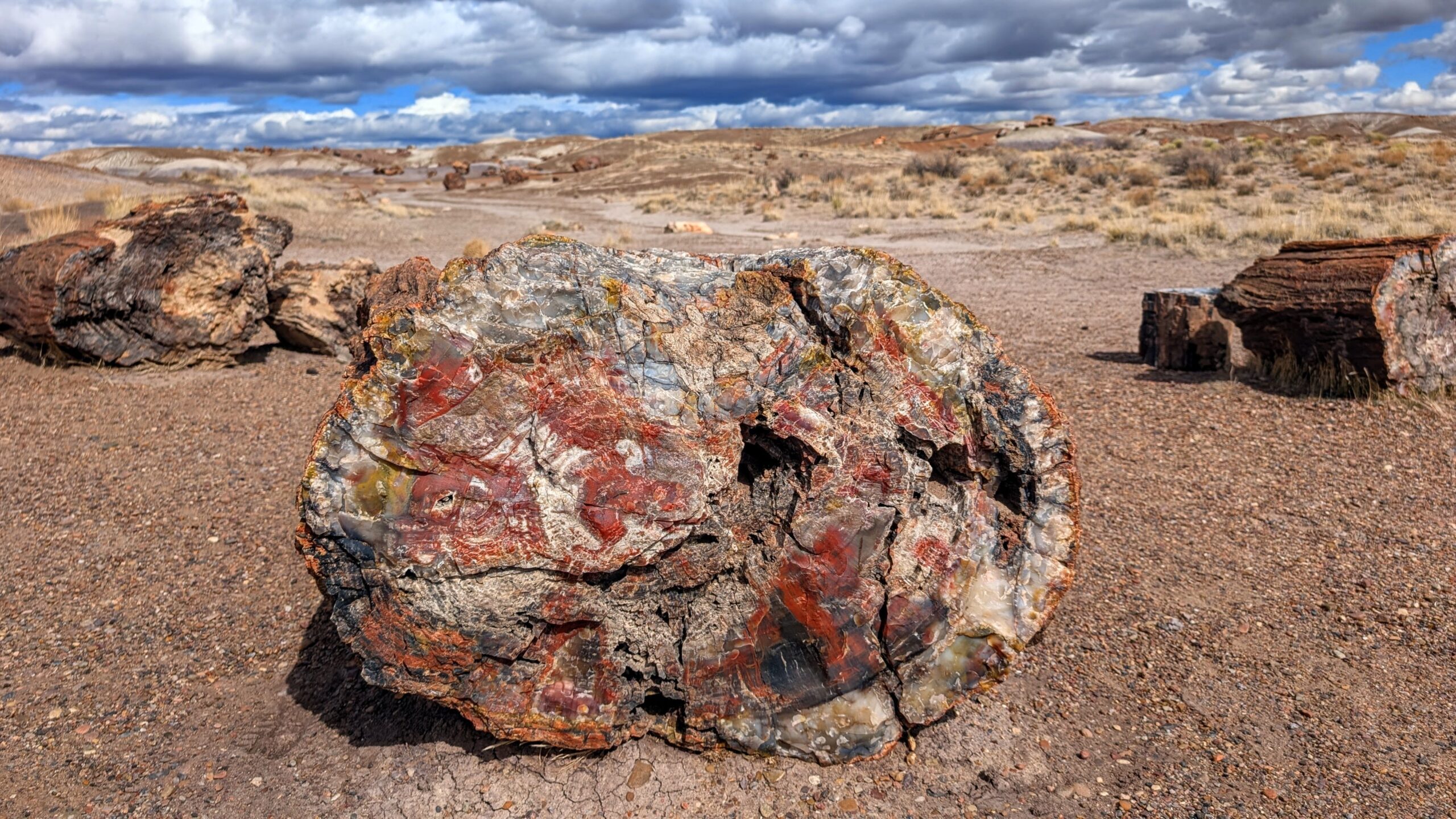 Petrified Forrest Nat Park