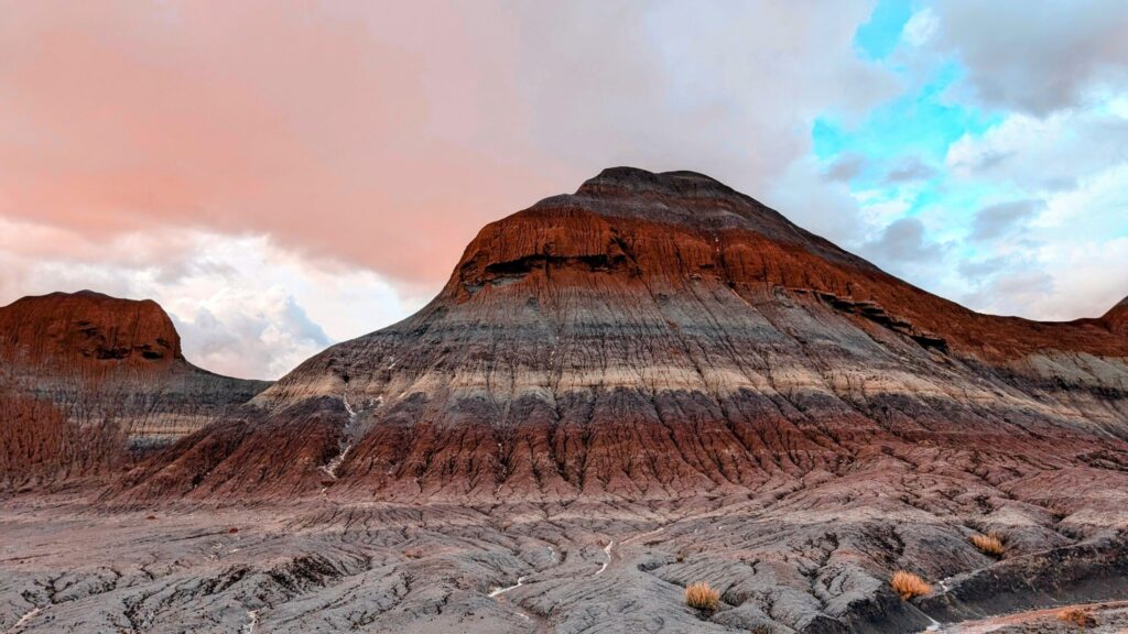 Petrified Forest National Park